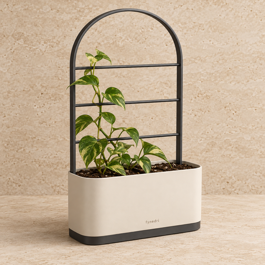 Fynedri Vine Planter Box with Climbing Trellis